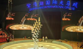 1700646943391008036.png image.png