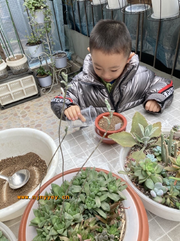 附件：微信图片_20210322100056.jpg