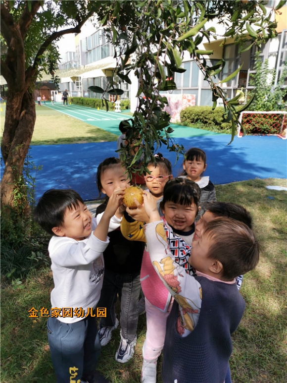 附件：2.jpg