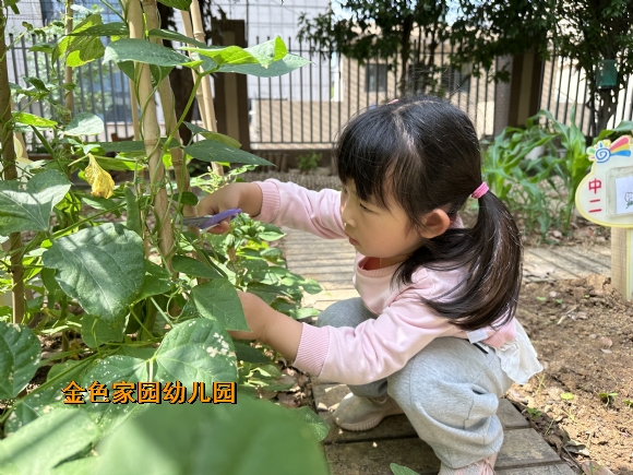 附件:IMG_7591.JPG 附件:IMG_7591.JPG
