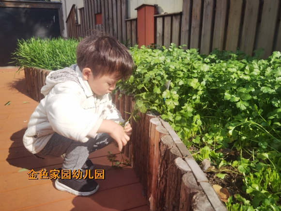 附件：1642558789144.jpg