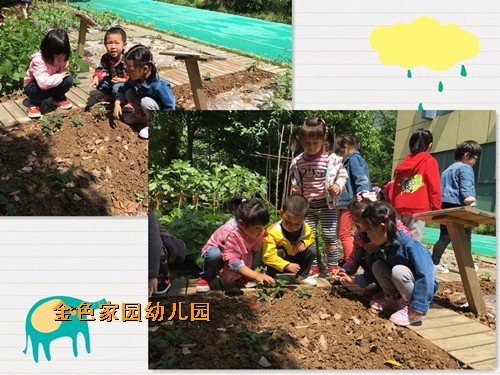附件：瑙傚療1.jpg