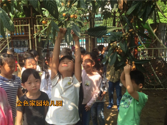 附件：IMG_2369.JPG