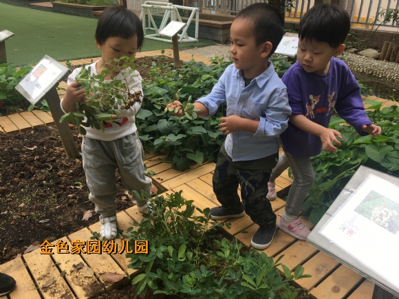 附件：IMG_7972.JPG
