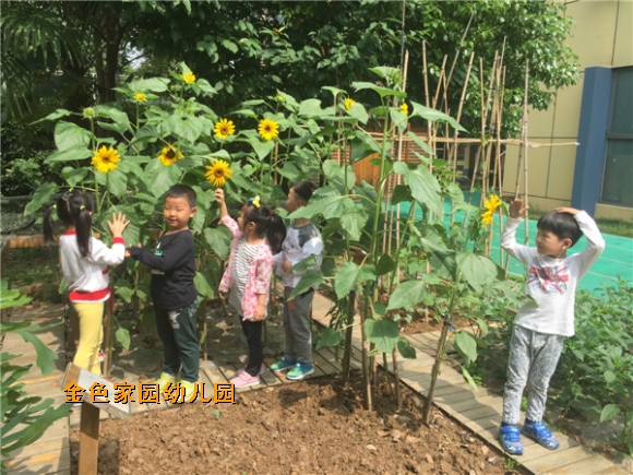 附件：IMG_2567.JPG