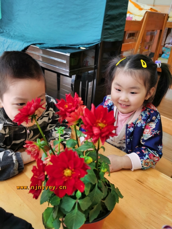 附件：1.jpg