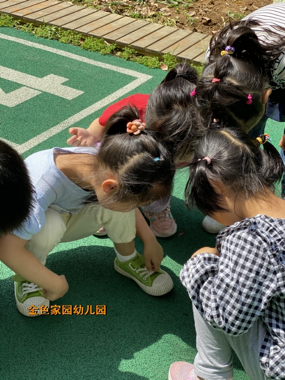 附件：IMG_9114.JPG