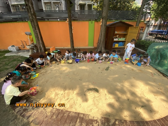 附件：IMG_6719(20230620-091345).JPG