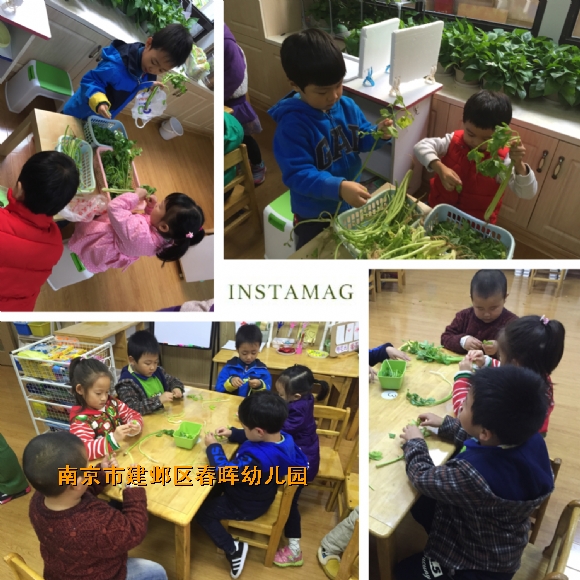 附件：IMG_0551.JPG