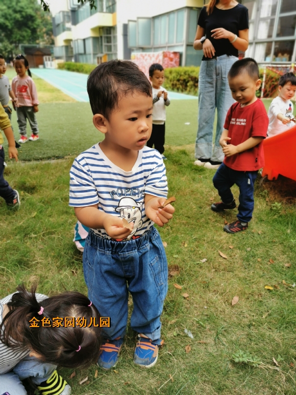 附件：IMG_20191010_101816.jpg