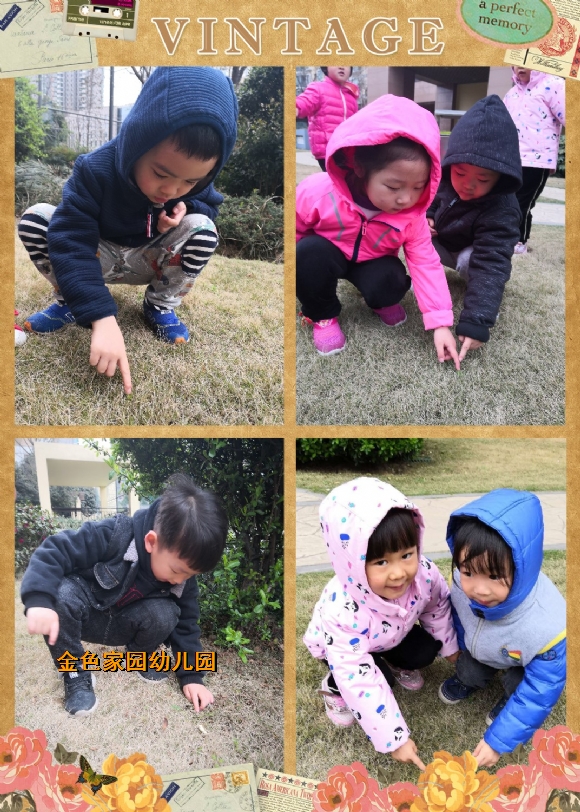 附件：找小芽.jpg