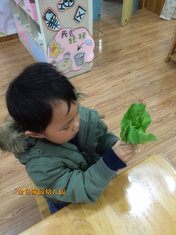 附件：2.jpg