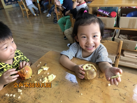 附件：IMG_1353.JPG