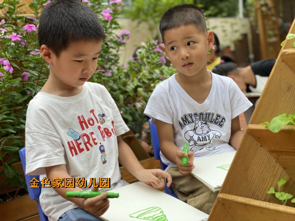 附件：IMG_1741.JPG