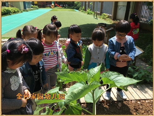 附件：瑙傚療4.jpg