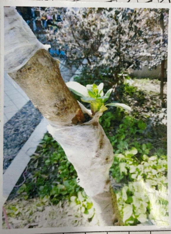 附件：C28718EDDE3B8E7CB20D09BCC476A991.png