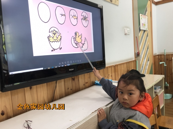 附件：IMG_9831.JPG
