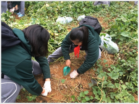 建邺教育信息网