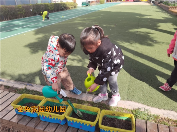 附件：IMG_20220310_151338.jpg
