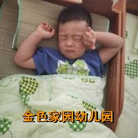 附件：884e7696-4113-4dde-bf97-b1529dc3026d.jpg