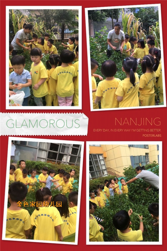 附件:IMG_5953.JPG 附件:IMG_5953.JPG