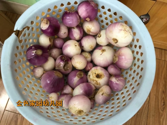 附件：IMG_6990.JPG