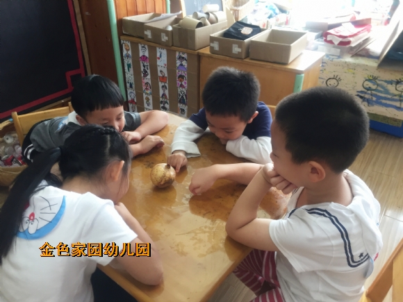 附件：IMG_3991.jpg