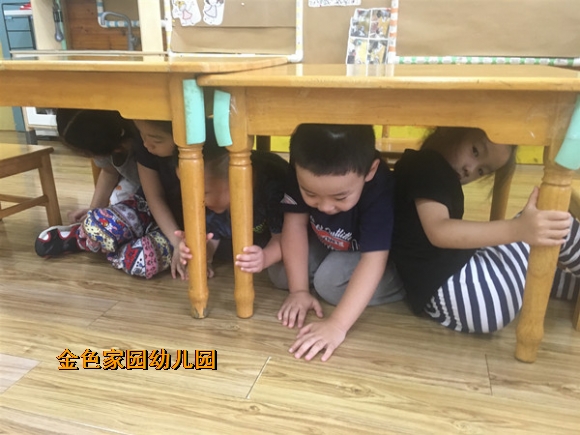 附件：IMG_6084_副本.jpg