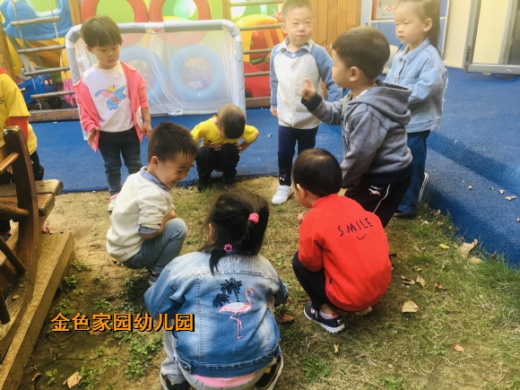 附件：IMG_E8502.JPG