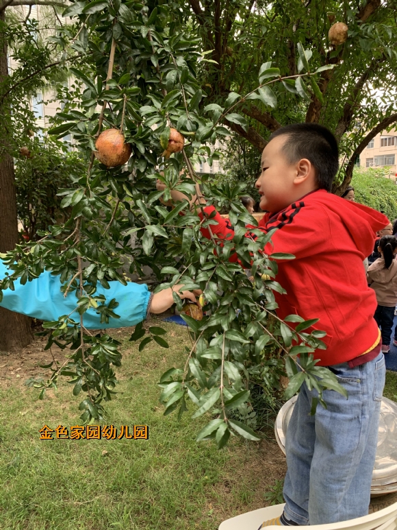 附件：e5aeb620d622c01feb9800f711c8e88b.jpg