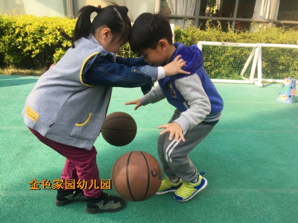 附件：IMG_6238.jpg