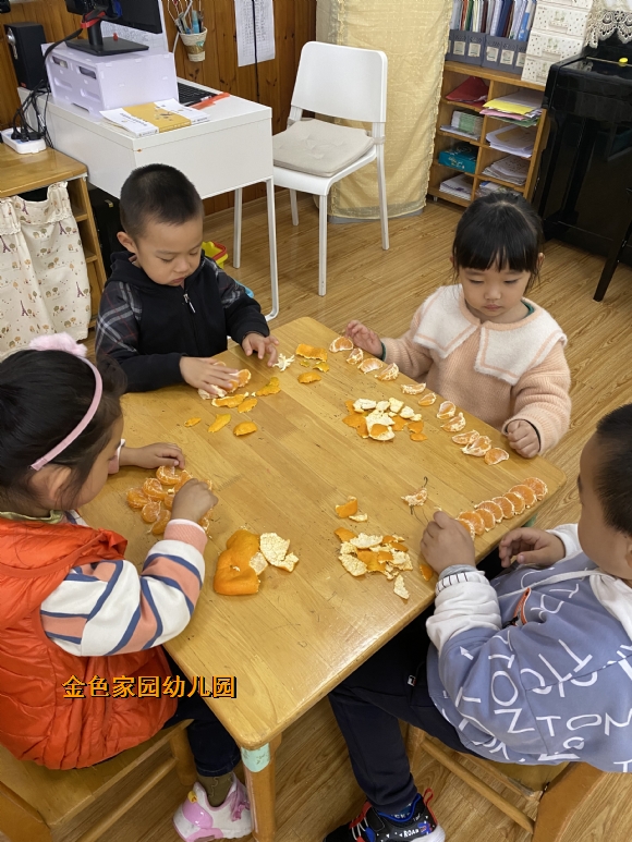 附件：IMG_4755.JPG