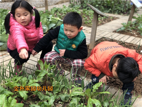 附件：IMG_1317.JPG