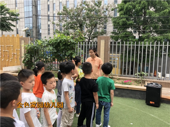 附件：IMG_3713.jpg