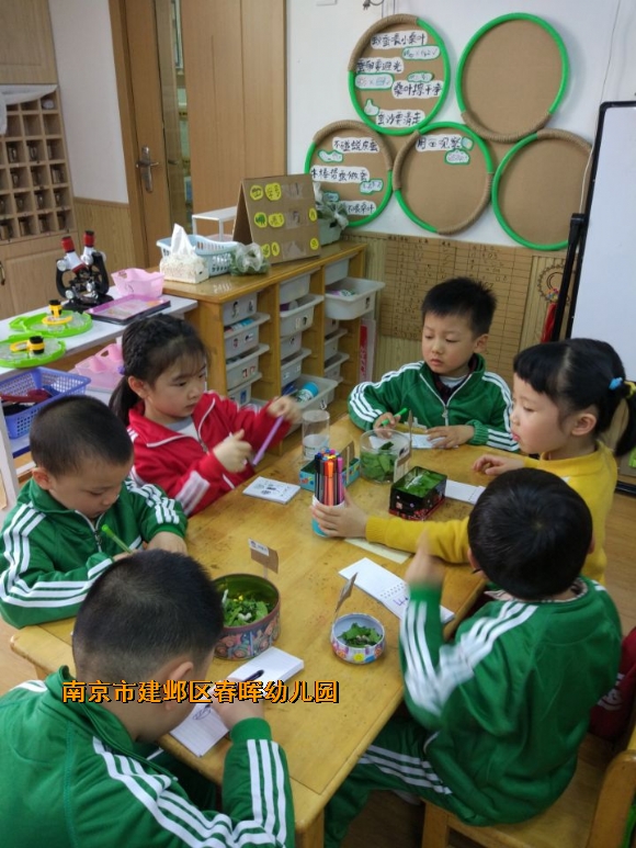 附件：QQ图片20180416111750.jpg