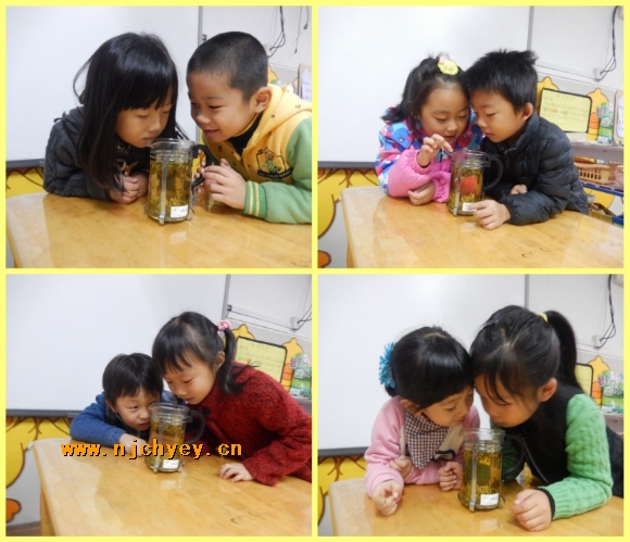 附件:6.jpg 附件:6.jpg