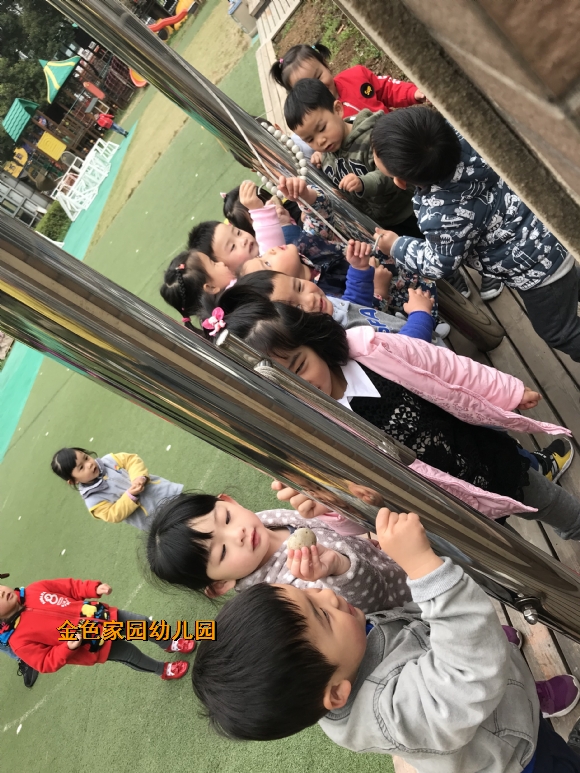 附件：IMG_6987.JPG