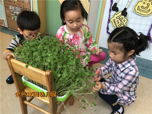 附件：IMG_1720.JPG