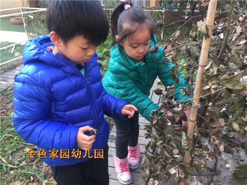 附件：IMG_7895_鍓湰1.jpg
