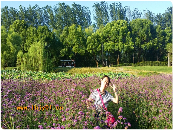 附件：涓竴鐝惔蹇楁晱鑰佸笀.jpg
