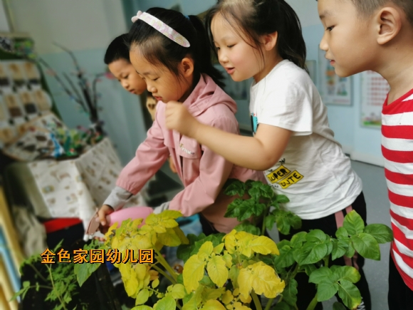 附件：ff46bbab0105e735e1ee850014707cc.jpg