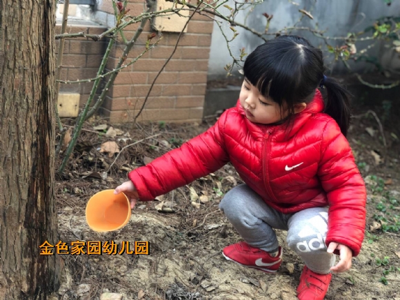 附件：IMG_5411.JPG