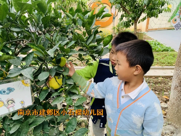 附件：1.jpg