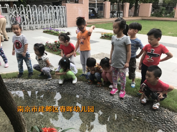 附件：conew_img_8729.jpg