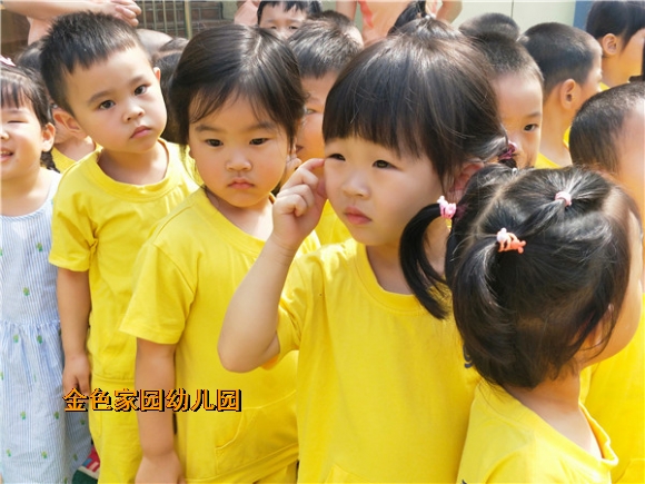附件：IMG20180601090540.jpg