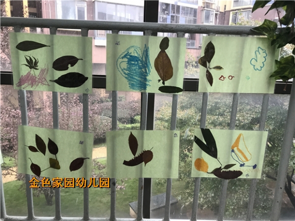 附件：IMG_8348.JPG