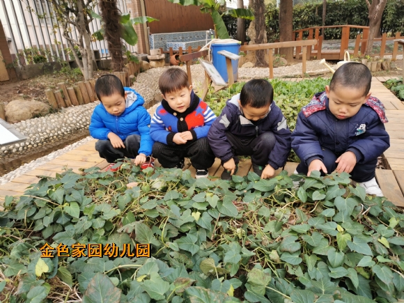 附件：IMG_20201203_094739.jpg