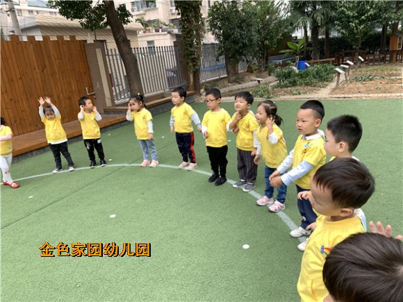 附件：IMG_3982.JPG
