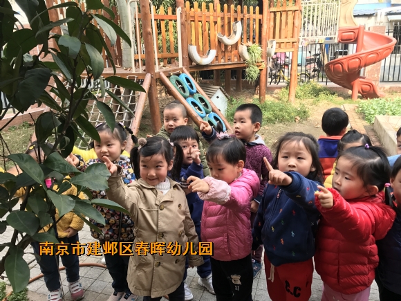 附件：新建文件夹IMG_2587.JPG