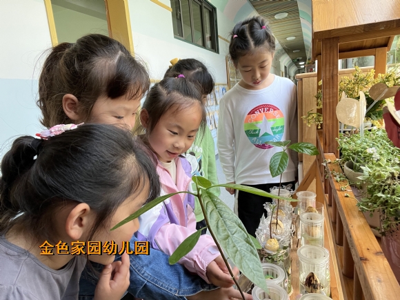 附件：IMG_7912(20220506-163700).JPG